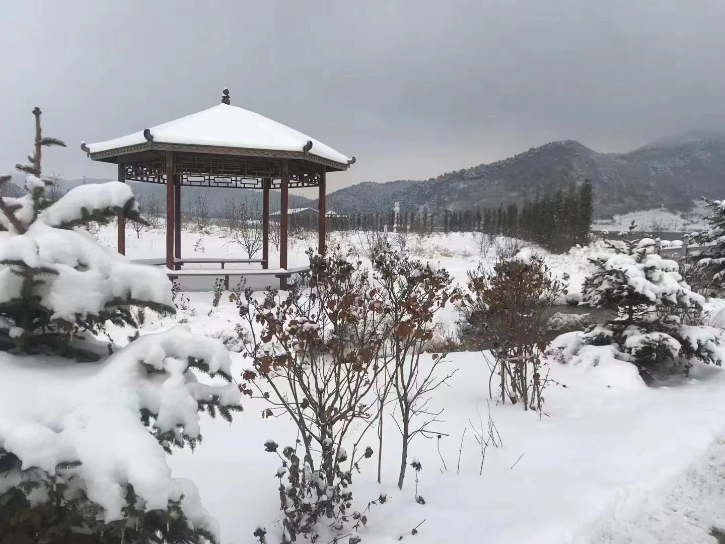 沈阳青云山公墓大厅电话