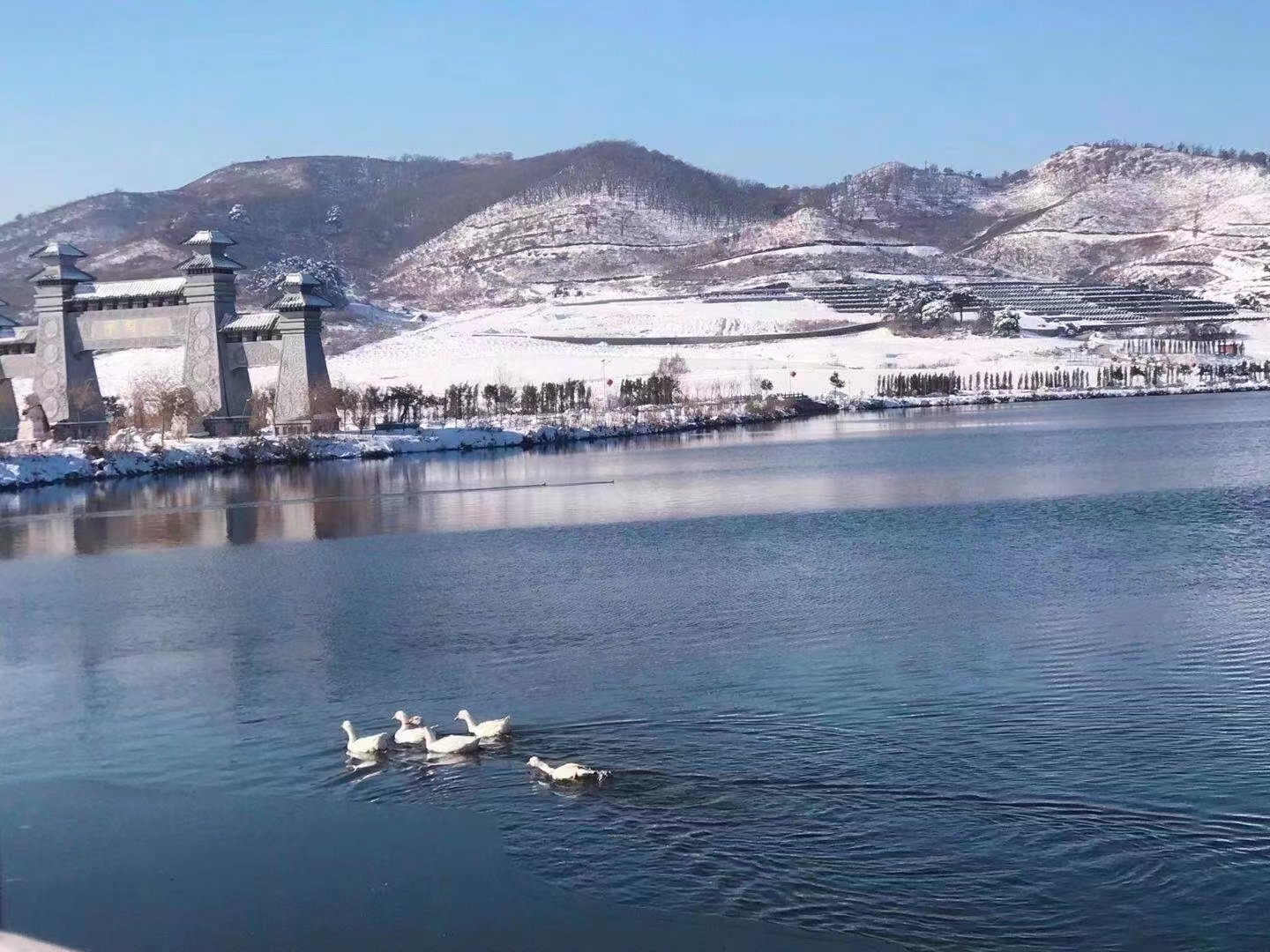沈阳青云山公墓大厅电话
