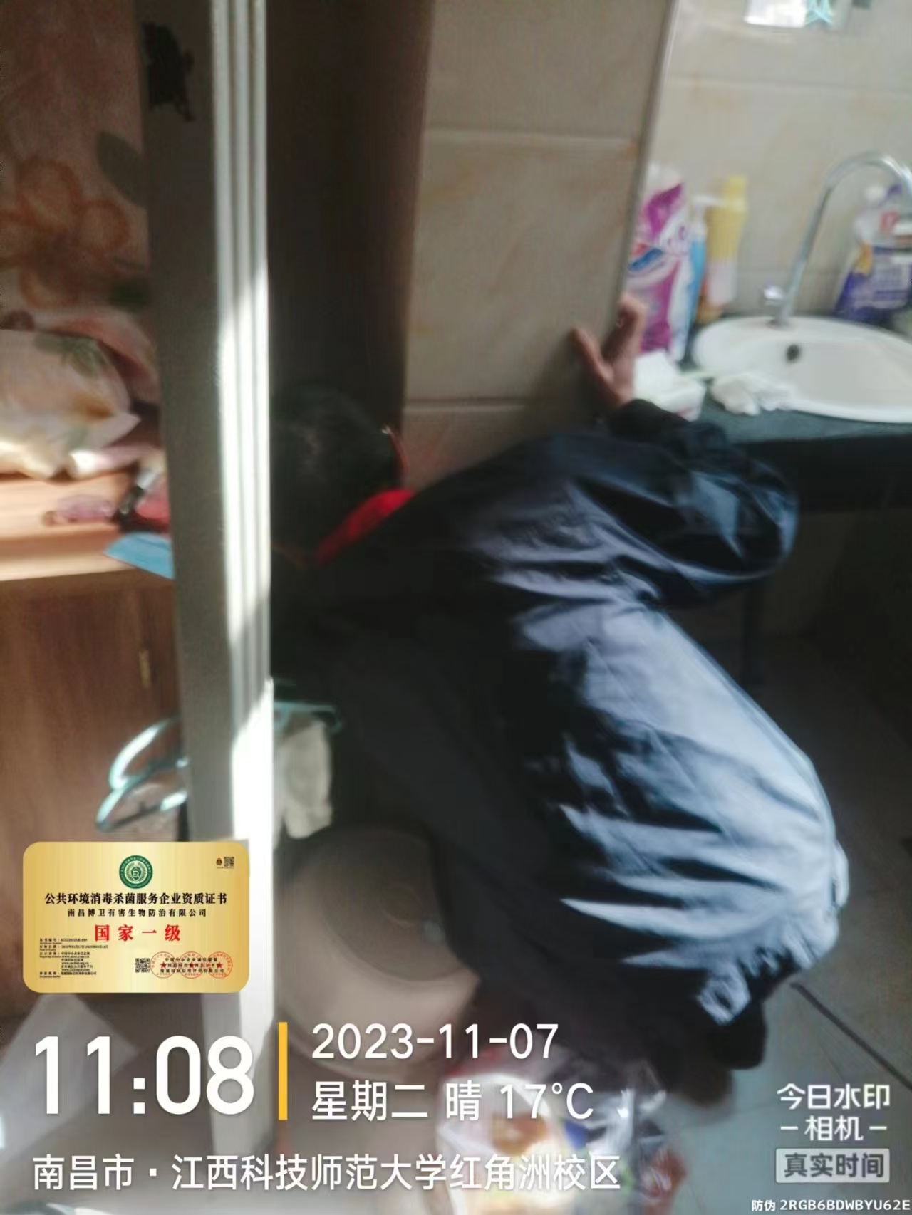 是东湖区臭虫消杀