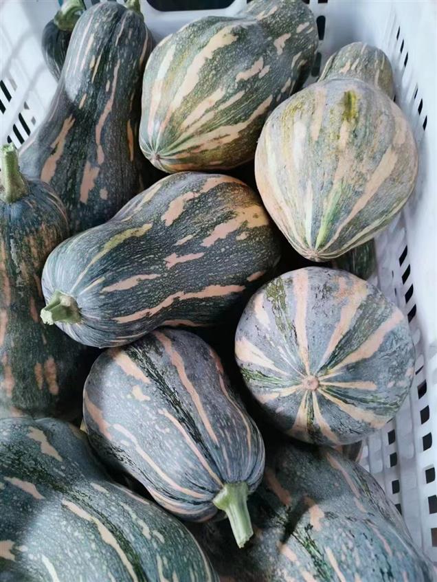 马尾蔬菜配送