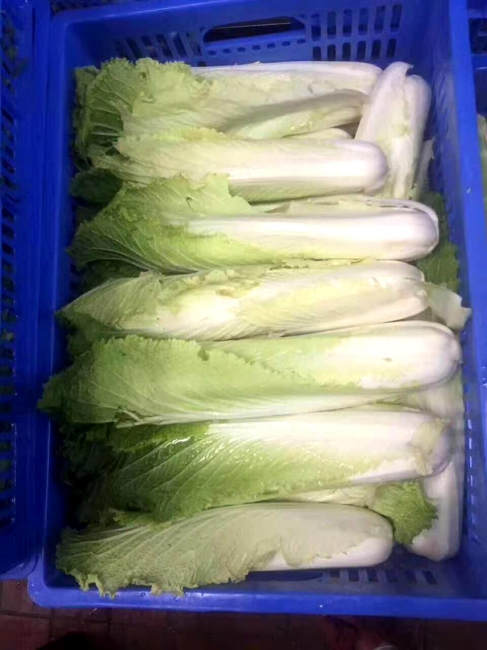 岳阳农副产品配送中心
