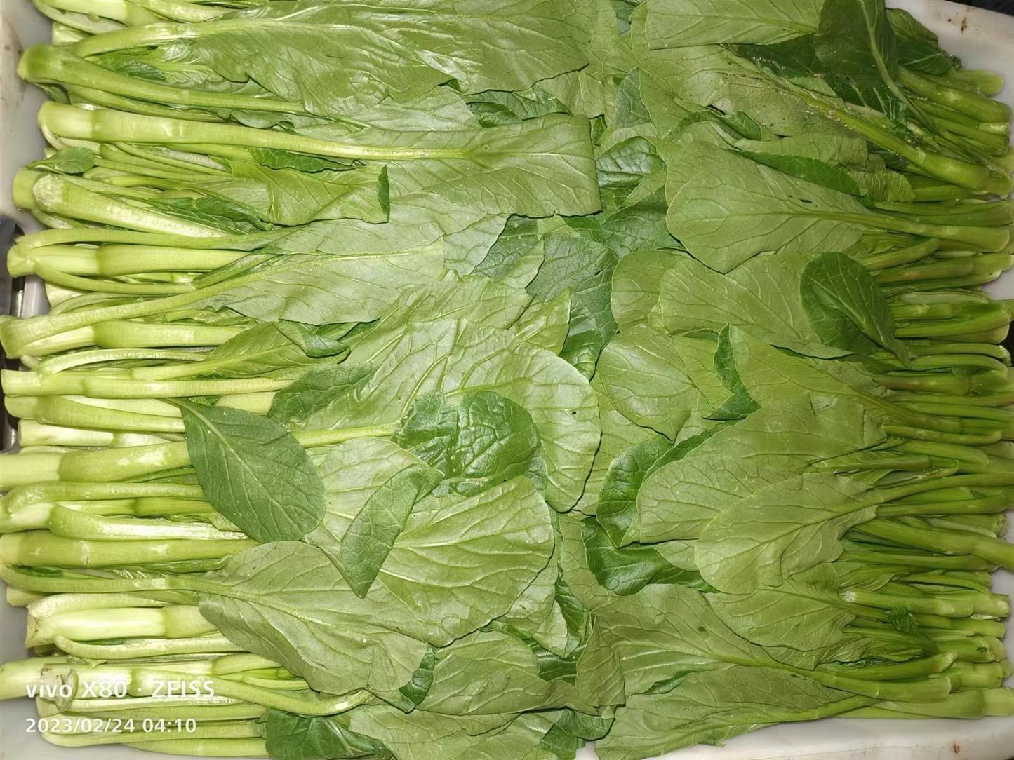 荔湾**蔬菜配送供应商