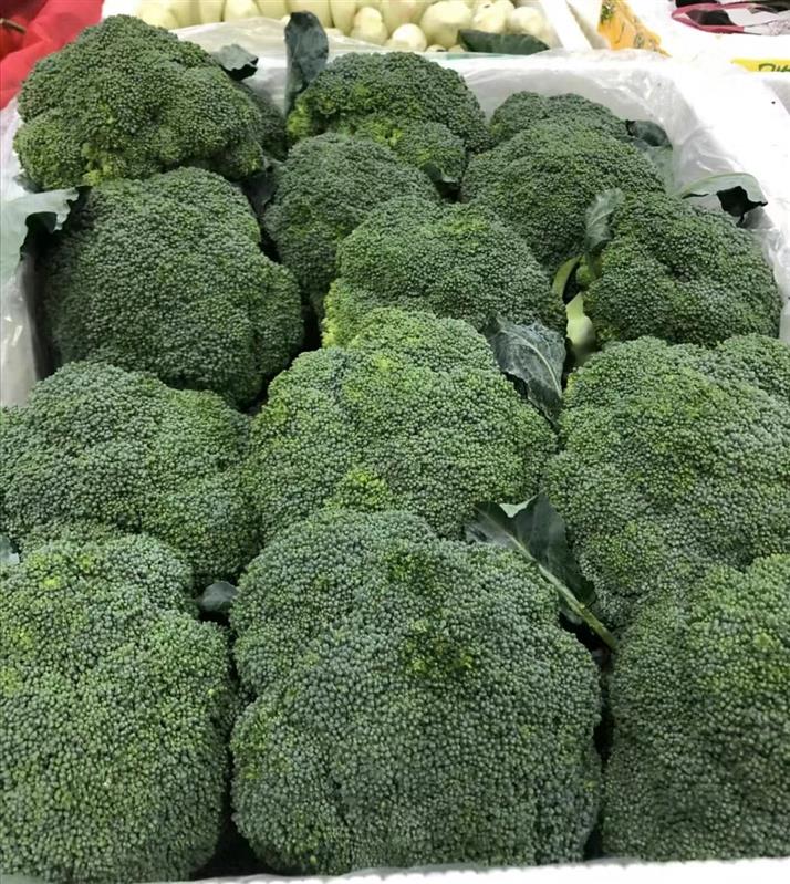 清溪蔬菜配送供应商