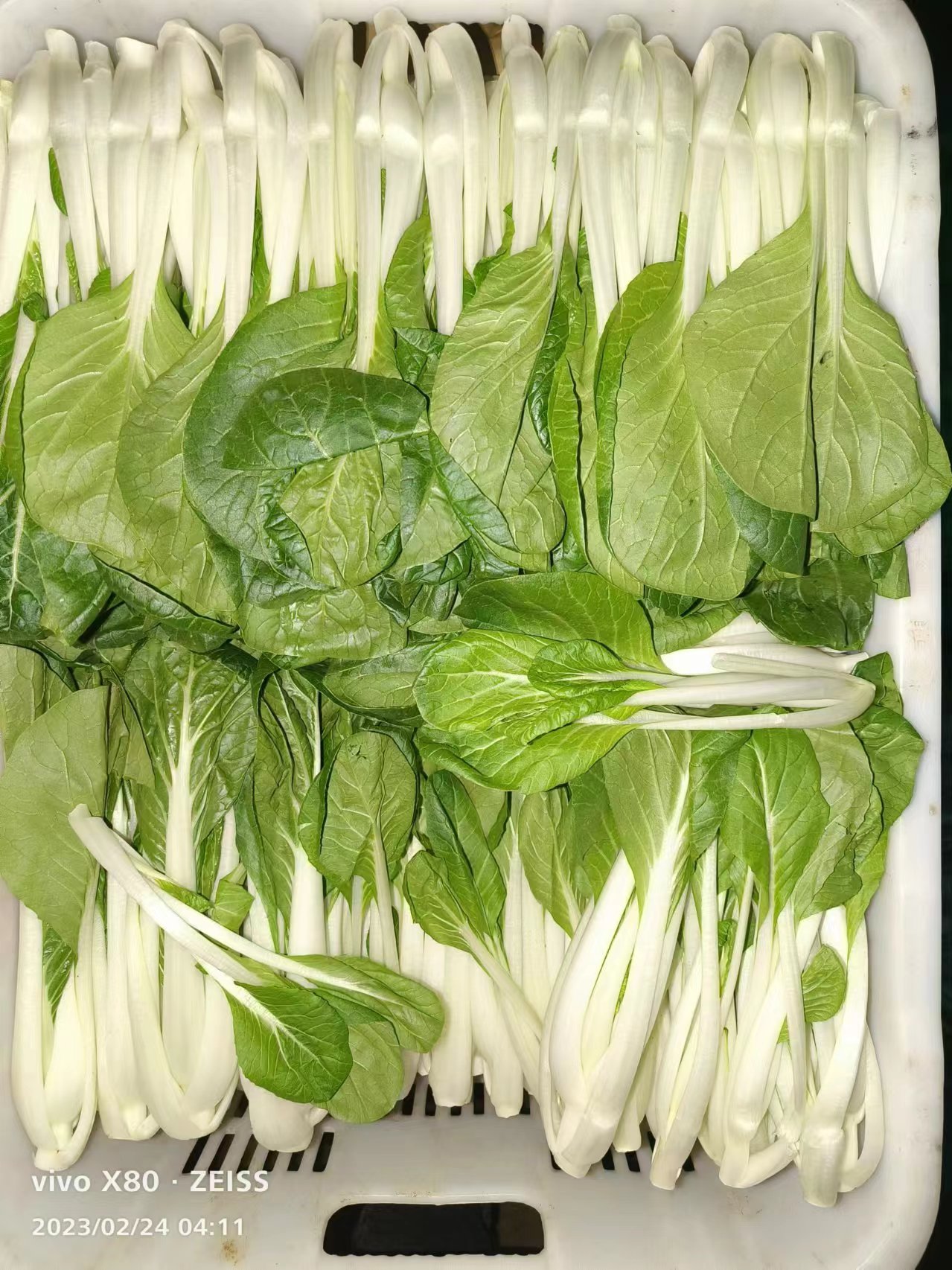 马尾蔬菜配送