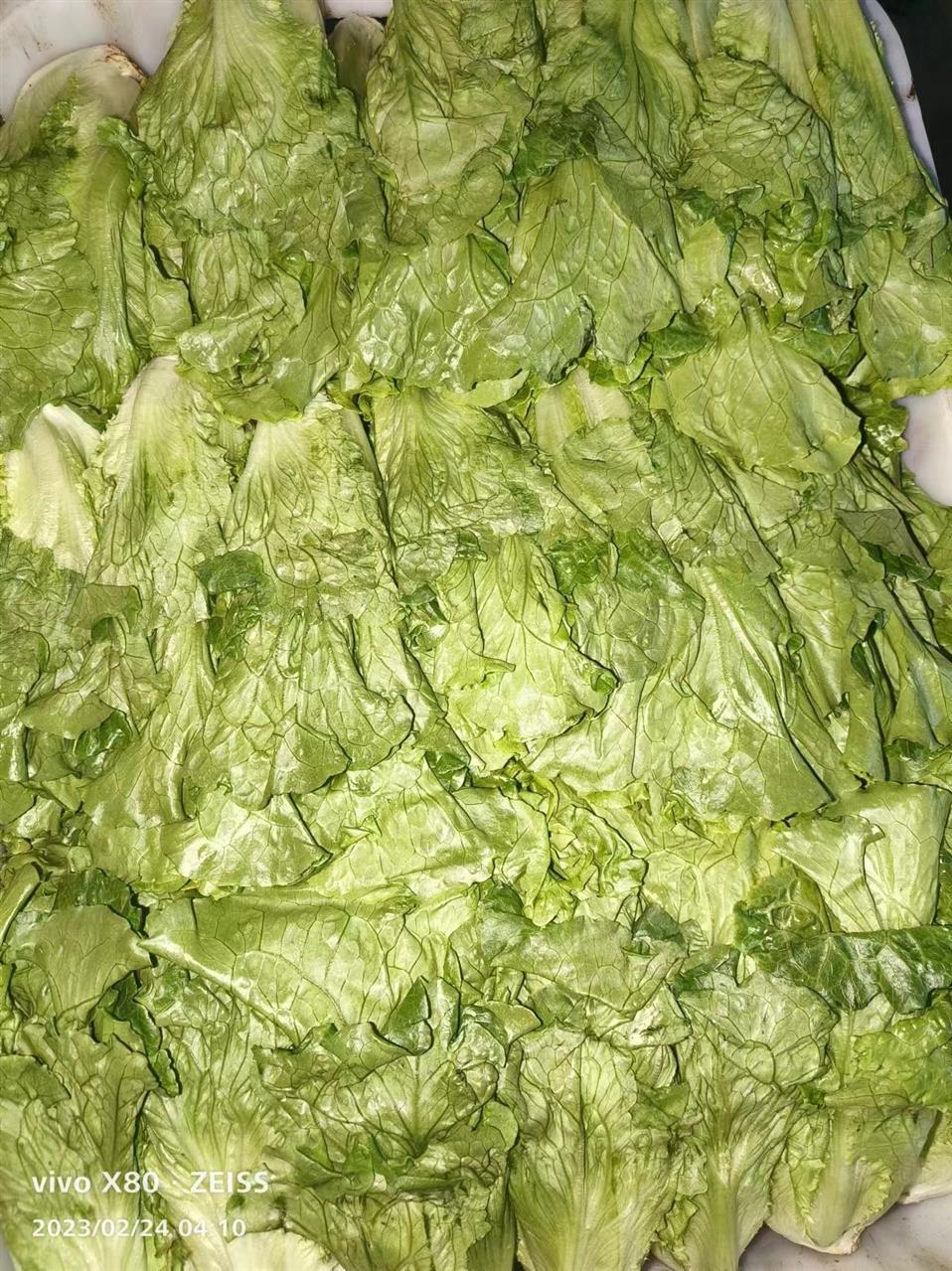 黄浦蔬菜配送