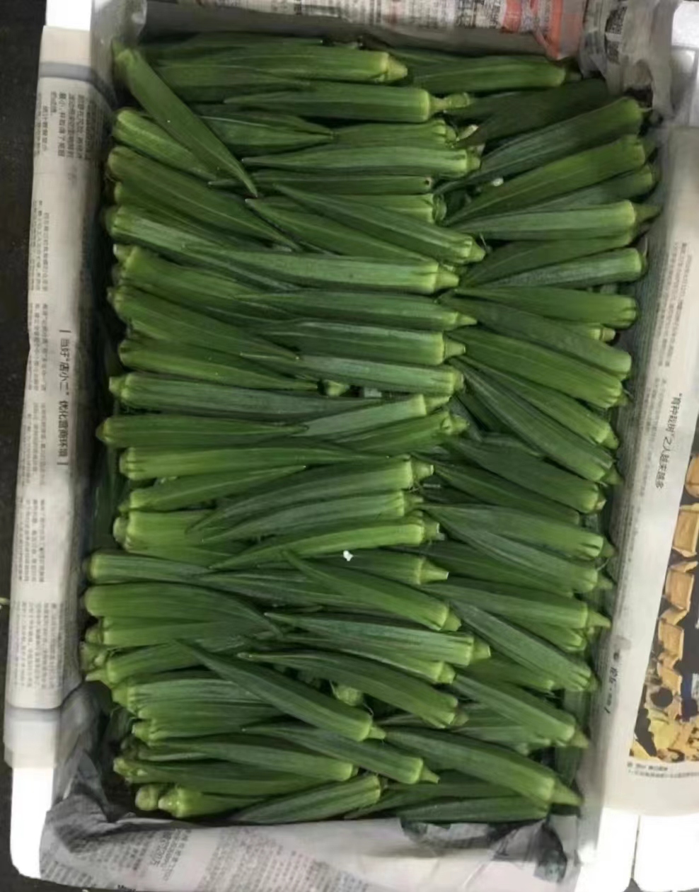 益阳蔬菜配送公司