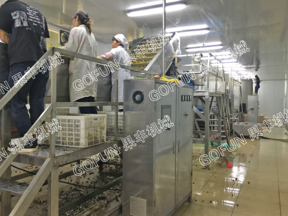 湖北各种水果加工生产线制作,水果加工生产线