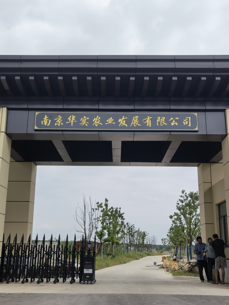 淮北寺庙/道观牌匾工程
