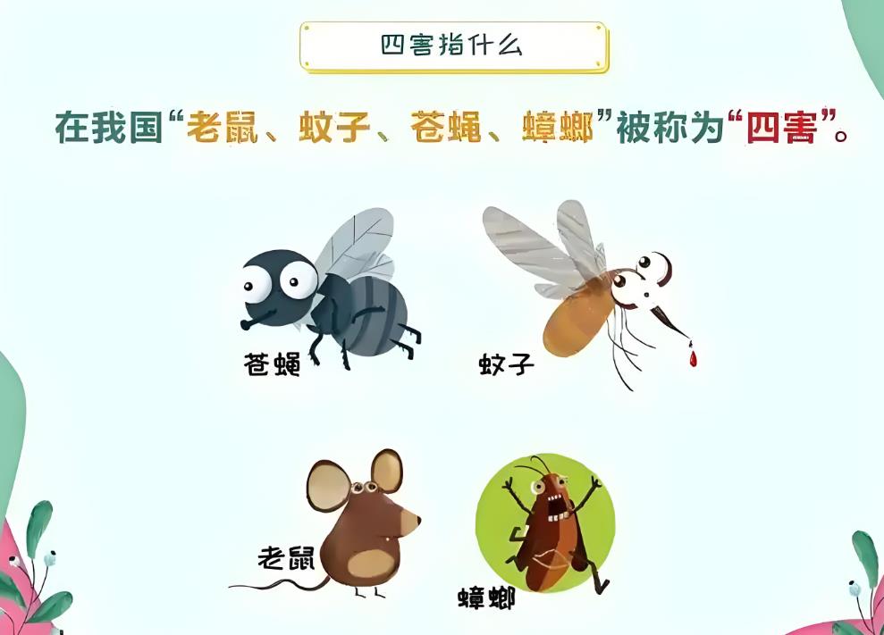 广州家庭除老鼠