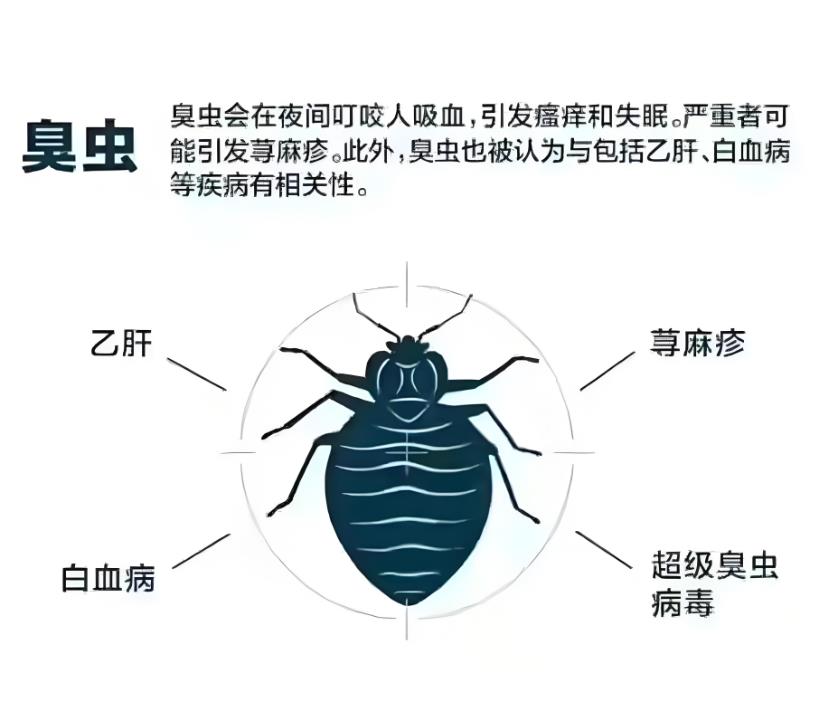 广州家庭除老鼠
