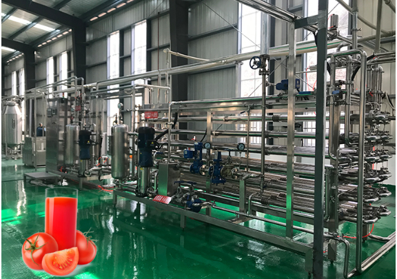 宁夏大型西红柿加工生产线流程,番茄加工生产线