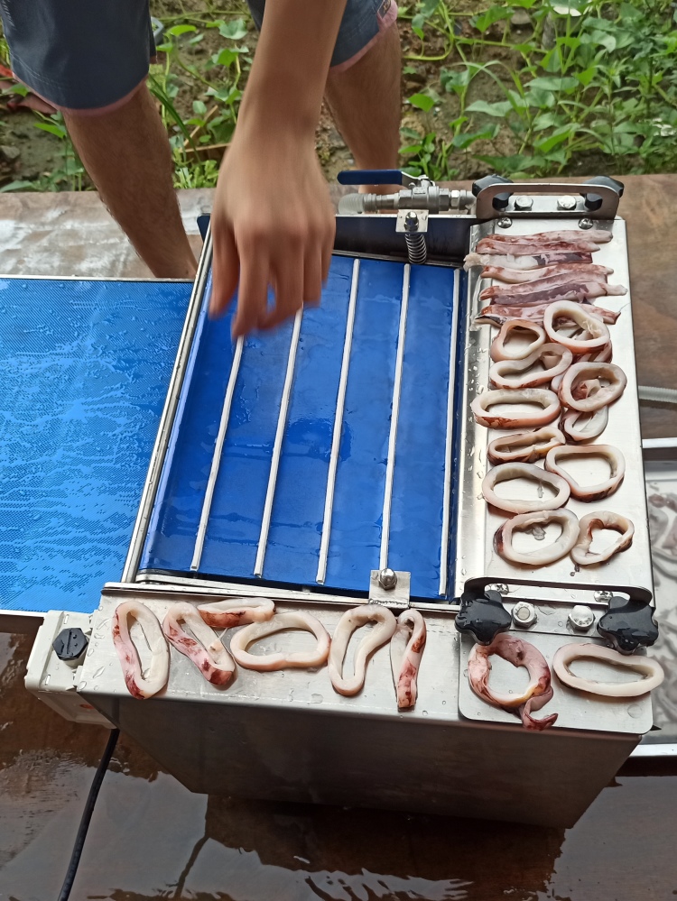 黄石鱿鱼筒去皮型号