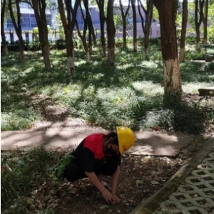 上饶公园防蛇