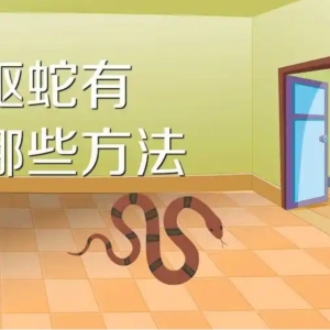 景德镇化学驱蛇