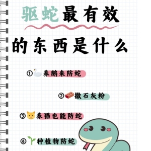 西湖区景区驱蛇