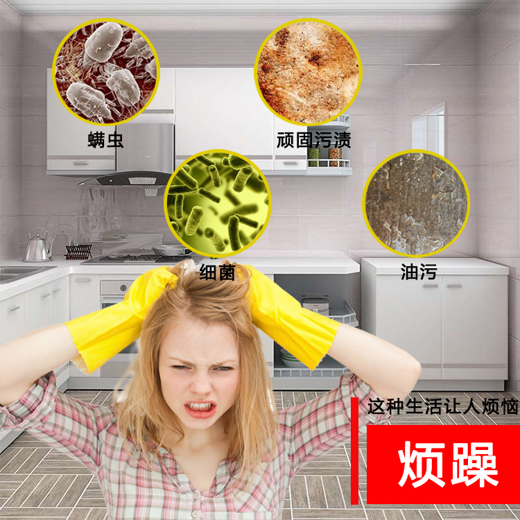移动上门蒸汽洗车机