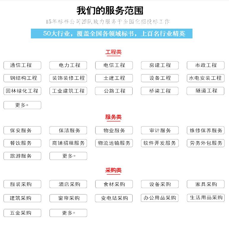 成都电子标投标公司
