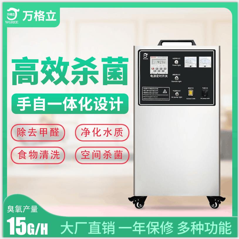 揭阳大型臭氧发生器